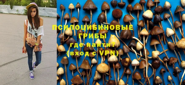 твердый Богородск