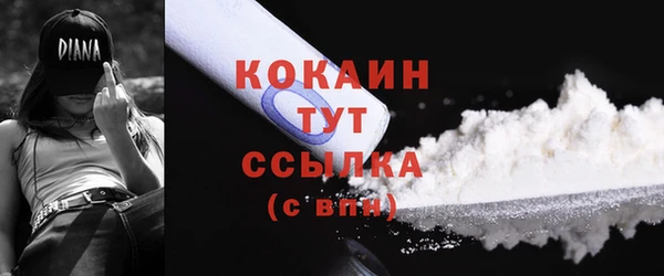 твердый Богородск