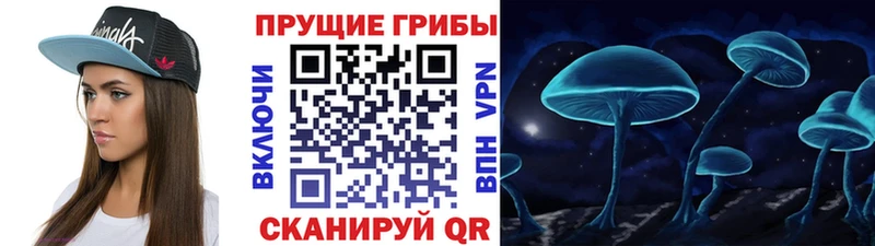 Псилоцибиновые грибы GOLDEN TEACHER  где можно купить наркотик  Кодинск 